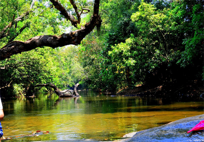 four blissful day in coorg tour